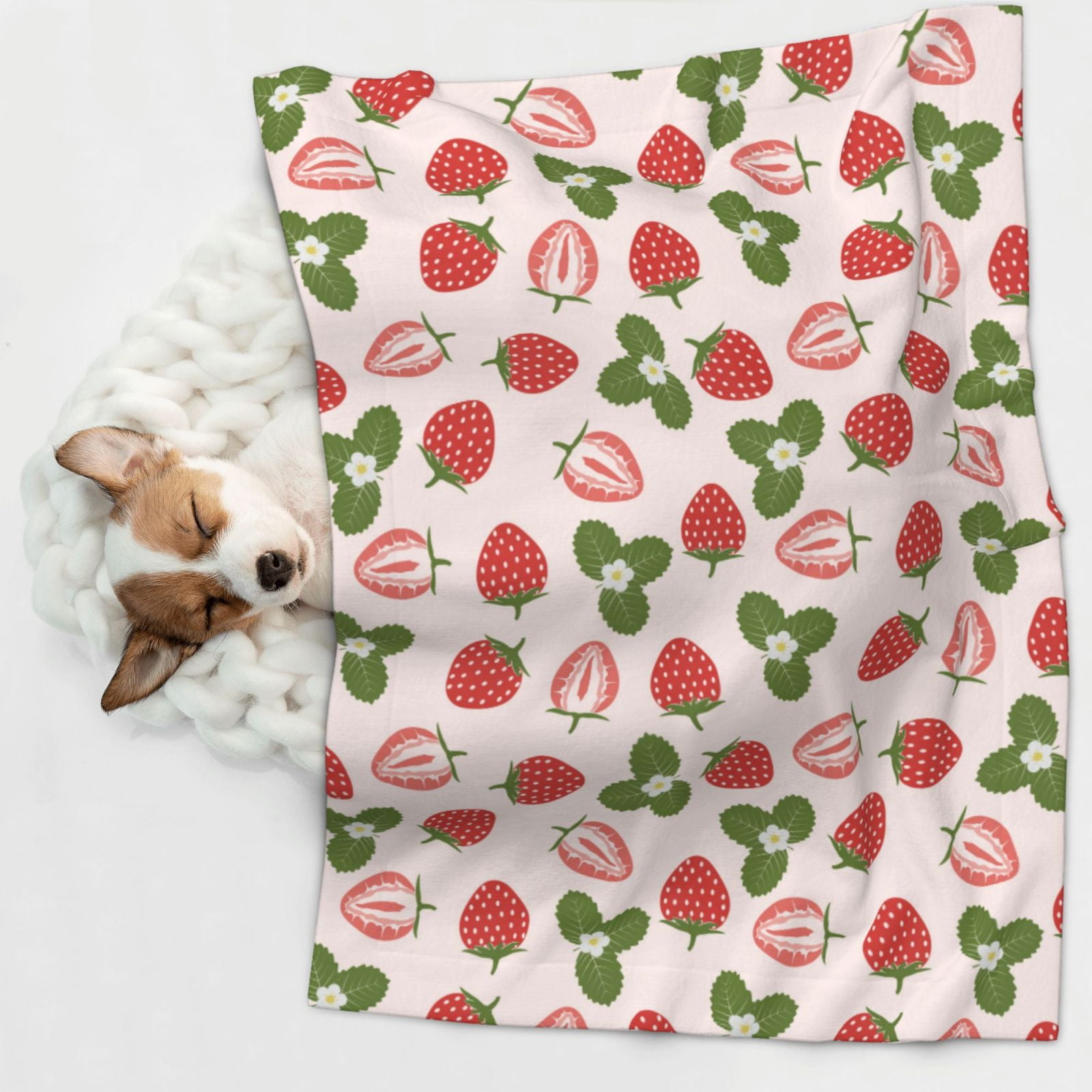 Naloa Strawberries And Leaf Dog Blanket, 3 Sizes Cat Blanket for Indoor Cats Large Medium Small Dog Gifts-Large