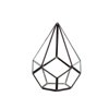 WGV Undecahedron Teardrop Terrarium- 6" Wide x 7.5" Height, Good quality Terrarium - 1 Pc