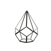 WGV Undecahedron Teardrop Terrarium- 6" Wide x 7.5" Height, Good quality Terrarium - 1 Pc