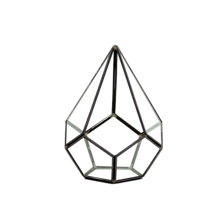 WGV Undecahedron Teardrop Terrarium- 6" Wide x 7.5" Height, Good quality Terrarium - 1 Pc