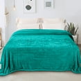 Whale Flotilla Fleece Queen Size Blanket for Bed 90x90 Inch, Super