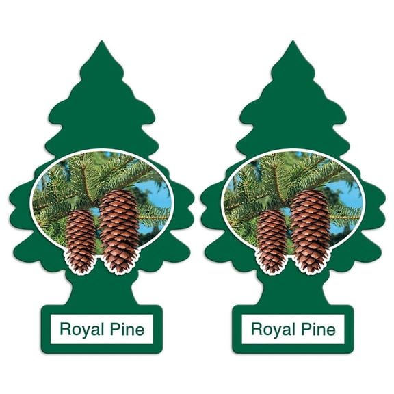 LITTLE TREES Car Air Freshener Hanging Tree, Royal Pine, (2 Count)