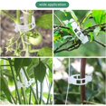 thumbnail image 5 of Blanco - 100 piezas Pinzas para tomates, pinzas para plantas, pinzas para enredaderas, pinzas para jardín, pinzas de plástico para verduras, plantas, tomates, 5 of 5