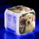thumbnail image 1 of Reloj despertador de juguete para niños, luz nocturna LED que cambia de Color con patrón de gato y perro, regalo de cumpleaños, reloj de escritorio electrónico JM, 1 of 5