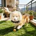thumbnail image 6 of Dog Mesh Head Cover,Breathable Mesh Pet Head Cover for Small Dogs and Cats,Head Protector and Face Guard,Elastic Hood Net Anti Eating Protector for Outdoor Walk, 6 of 8