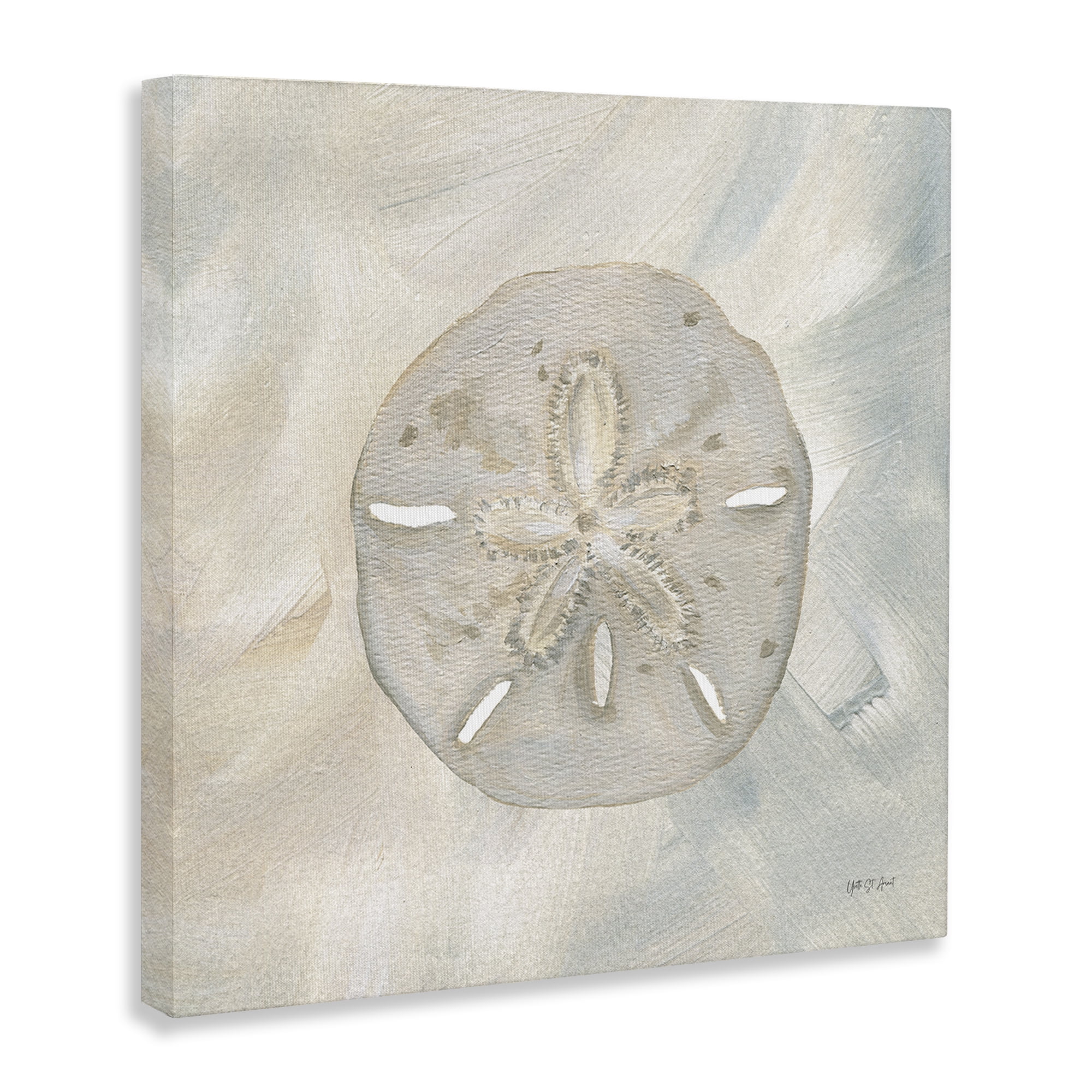 Stupell Industries Soft Sand Dollar Coastal Painting Gallery Wrapped Canvas Art Print Wall Art, 17 x 17