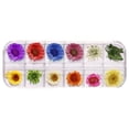 thumbnail image 2 of onlyliua Promoción de Temporada Diy Flor de Uña Seca Japonesa 12 Colores Flor de Sol Estrellada 24 Flores de Uña Seca, 2 of 2