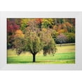 thumbnail image 1 of Murdock, Ramona 24x17 White Modern Wood Framed Museum Art Print Titled - Tree in the Pasture, 1 of 4