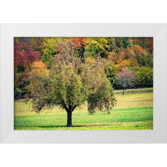 Murdock, Ramona 24x17 White Modern Wood Framed Museum Art Print Titled - Tree in the Pasture
