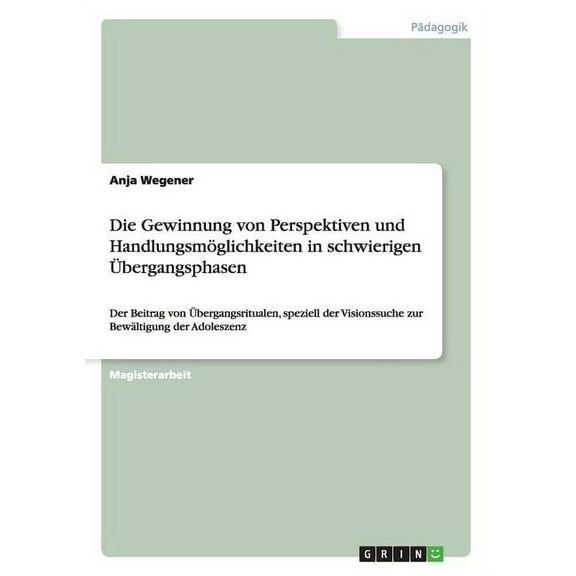 Die Gewinnung von Perspektiven und Handlungsmöglichkeiten in schwierigen Übergangsphasen (Paperback)