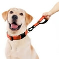 thumbnail image 2 of Plutus Pet Short Dog Leash, Reflective Nylon Padded Handle, Strong Traffic Pet Leash with Carabiner Clip, for Medium Large Dogs (10", Orange), 2 of 6