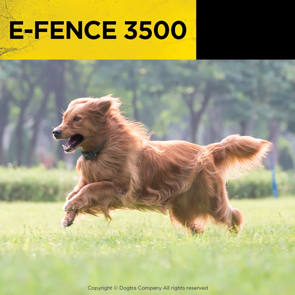 Dogtra E-FENCE 3500 Underground Electric Fence Dog Containment System 40-Acre