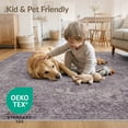 thumbnail image 4 of ODIKA 8'x10' Washable Area Rug Non-Slip Chair-Friendly Mat Vintage Plum Distressed Scroll Border Pink Mauve Boho Purple Flowing Dynamic for Dining Room, Large Office, Lounge, 4 of 7