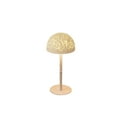 thumbnail image 2 of Decorative Bedside Lamp, Remote Control LED Night Light, Adjustable Height Table Lamp, Dorm Bedroom Desk Lamp, Ambient Lighting Decorative Lamp, Soft LED Mood Light, 2 of 9