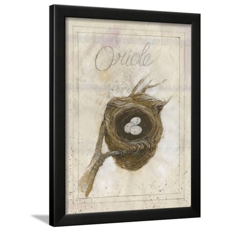 Nest - Oriole Framed Print Wall Art By Elissa Della-piana