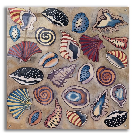 Epic Art 'Sea Shells- Square' by Carissa Luminess, Acrylic Glass Wall Art, 36"x36"