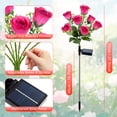 thumbnail image 2 of Qoosea Solar Lights Outdoor, 7 Heads Rose Flower Bud Solar Garden Lights Waterproof, Solar Flowers Lights for Yard Patio Garden Decor, 2 Pack Red, 2 of 9