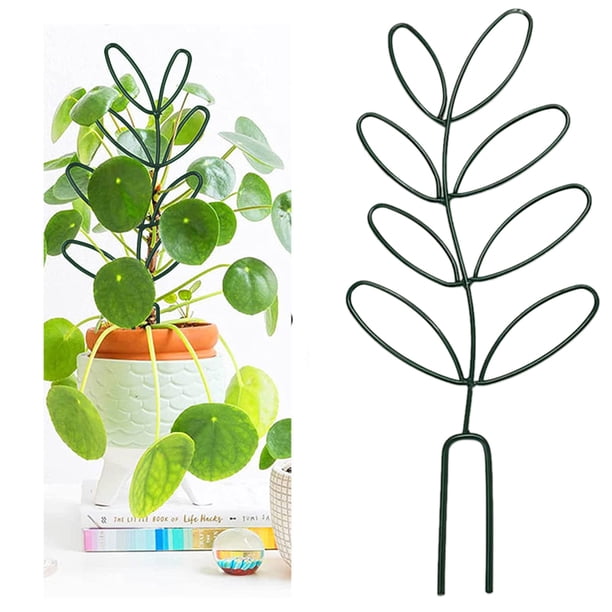 Enrejado para plantas trepadoras BuyWeek enrejado pequeño para jardín en macetas Diseño de vanguardia negro
