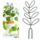 thumbnail image 1 of Enrejado para plantas trepadoras BuyWeek enrejado pequeño para jardín en macetas Diseño de vanguardia negro, 1 of 7