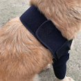 thumbnail image 3 of Coderas protectoras transpirables para perros que brindan soporte para codos y hombros. Higroma de codo canino, displasia, osteoartritis., 3 of 5