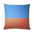 thumbnail image 2 of Ahgly Company Coussin d'Intérieur Color Focus Color Gradient, 18 Pouces par 18 Pouces, 2 of 6