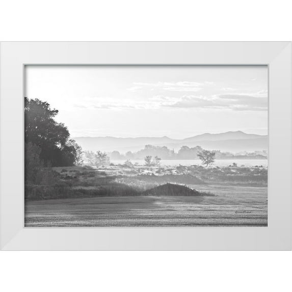 Murdock, Ramona 32x23 White Modern Wood Framed Museum Art Print Titled - Valley Morning Mist