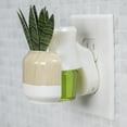 thumbnail image 3 of Better Homes & Gardens Aroma Accents Fragrance Plug, Snake Plant, 3 of 8