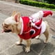 thumbnail image 5 of Billuyoard Abrigo grande de Navidad para mascotas de invierno, Sudadera con capucha bonita, traje con correa para el pecho, suministros de Kits de decoración para fiestas XXL, 5 of 6