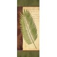 thumbnail image 2 of Corbin, Delphine 15x32 Gold Ornate Wood Framed with Double Matting Museum Art Print Titled - Palm Tropic Panel III, 2 of 4