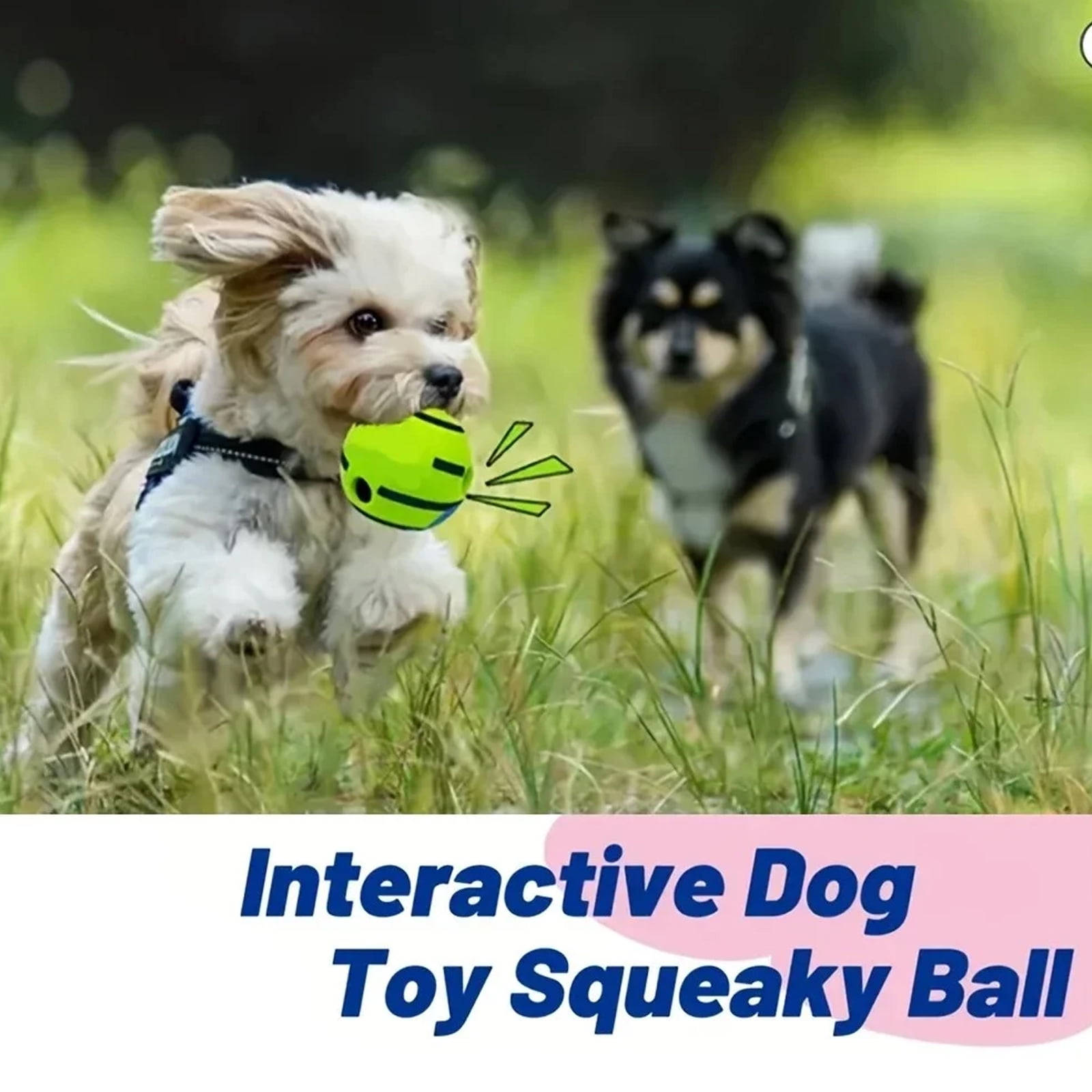 BYXAS 3 Pcs Dog Toys Ball, Interactive Dog Ball, Shaking with Gibbering Sound,Fun Giggle Sounds When Rolled or Shaken for Training & Herding, XL, 5.51 in (14 cm)