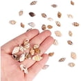 thumbnail image 4 of EIMELI 1300 Pcs Small Sea Shell Ocean for Crafts Beach Spiral Seashells, Home Decoration, Beach Theme Party Wedding Decor, Fish Tank Vase Fille, 4 of 6