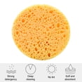 thumbnail image 4 of Éponge pour le Visage Naturelle 10/20/30/50 Pcs Éponge pour le Visage Réutilisable Ronde Absorbante Naturelle Démaquillant Exfoliante Spa Nettoyage du Visage Kit d'Éponge en Cellulose, 4 of 8