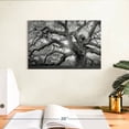 thumbnail image 3 of Elephant Stock Monochrome Angel Oak Tree Wall Art - Horizontal Canvas Wall Art - Living Room Wall Decor - Floral And Botanical Canvas - Black And Gray Decor - 12" x 8", 3 of 8