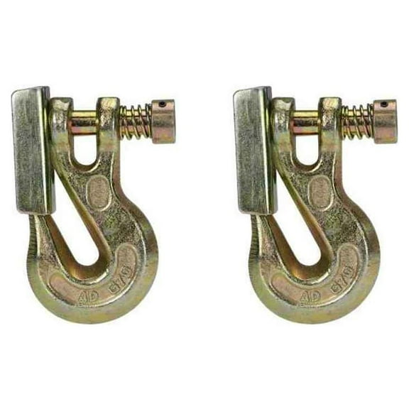 5/16" Grade 70 Clevis Grab Hook with Latch - 2 Pack