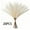 Beige, variant on 20PCS Artificial Pampas Grass Decor – 21.65" Fluffy Bohemian Reed Stems for Wedding, Home, Vase Arrangement (Hypoallergenic, No Shedding)