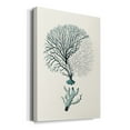 thumbnail image 2 of Antique Coastal Coral III Premium Gallery Wrapped Canvas - Ready to Hang, 2 of 9
