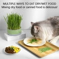 thumbnail image 5 of Hydroponic Cats Grass Planter, at Grass Planter(No Seeds Included), Cat Grass Kit for Indoor Cats, Wheat Grass Growing Cup with Removable Tray, Easy to Grow Cat Grasses Growing, 5 of 6