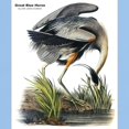 thumbnail image 3 of CafePress - Audubon Great Blue Heron (Front) Light T Shirt - Men's Classic Graphic T-Shirt, 3 of 4