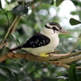 thumbnail image 2 of Miangastore Lifelike Bird Statue Lovely Bird Model Craft Statue Children Cognitive Toy, 2 of 8