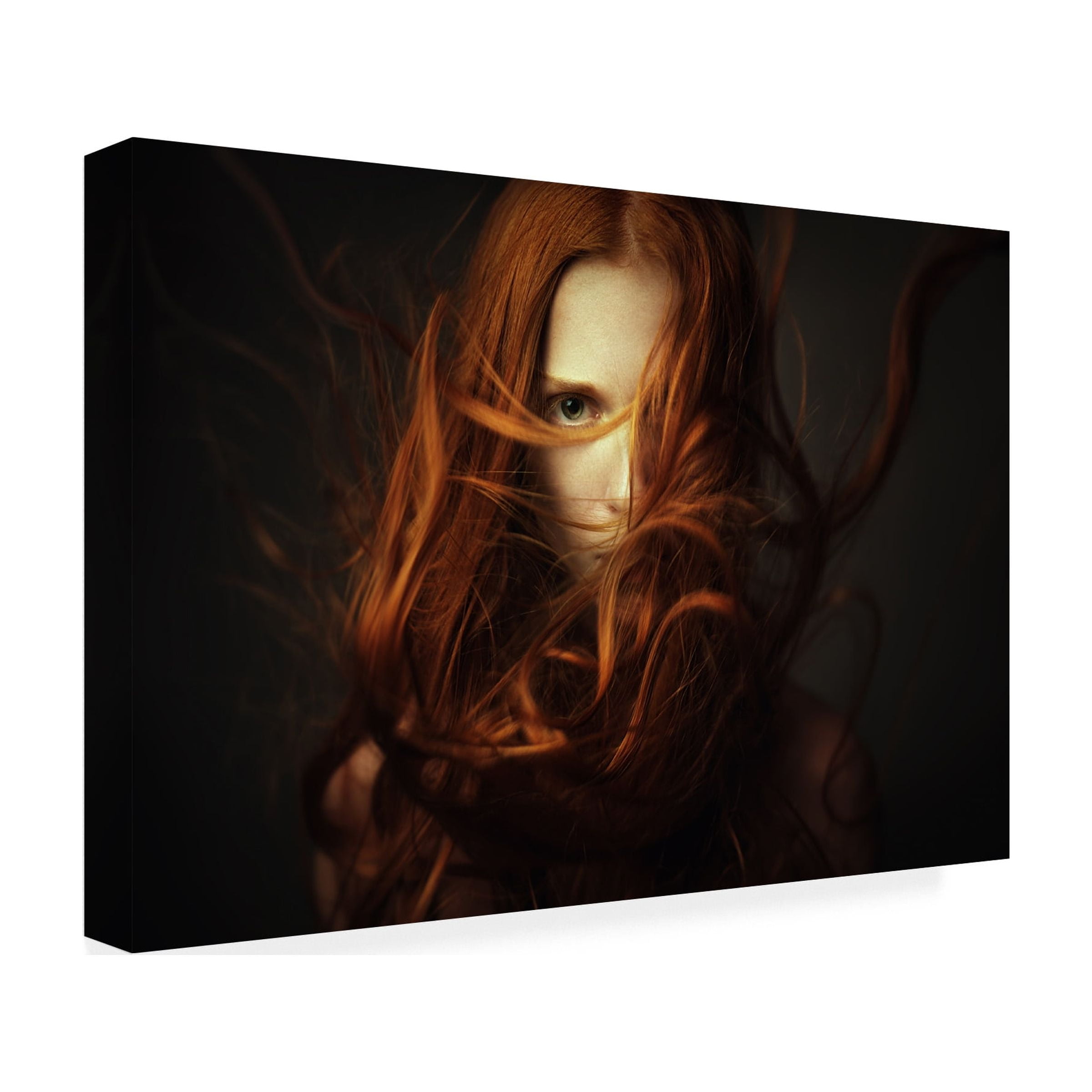 Dmitry Ageev 'Hair' Canvas Art