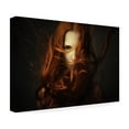 thumbnail image 4 of Dmitry Ageev 'Hair' Canvas Art, 4 of 4