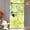 Eyeball, variant on Konghyp 2Pcs Halloween Dog Toy Funny Dog Stick Pumpkin Ghost Feather, Interactive Teaser Stick for Cats, Engaging Cat Toy Noisy Playtime Alternative, Teasing Sticks for All Cats