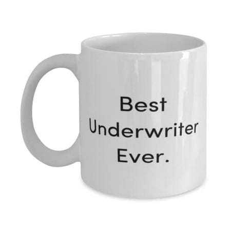 

Unique Idea Underwriter Gifts Best Underwriter Ever Sarcastic Christmas 11oz Mug Gifts F Colleagues