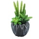 thumbnail image 1 of Flores artificiales, suculentas artificiales, plantas combinadas en macetas, decoraciones para el hogar, plantas verdes artificiales, 1 of 5