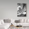 thumbnail image 3 of Trademark Fine Art 'Still Butterfly' Canvas Art by Chris Moyer, 3 of 3