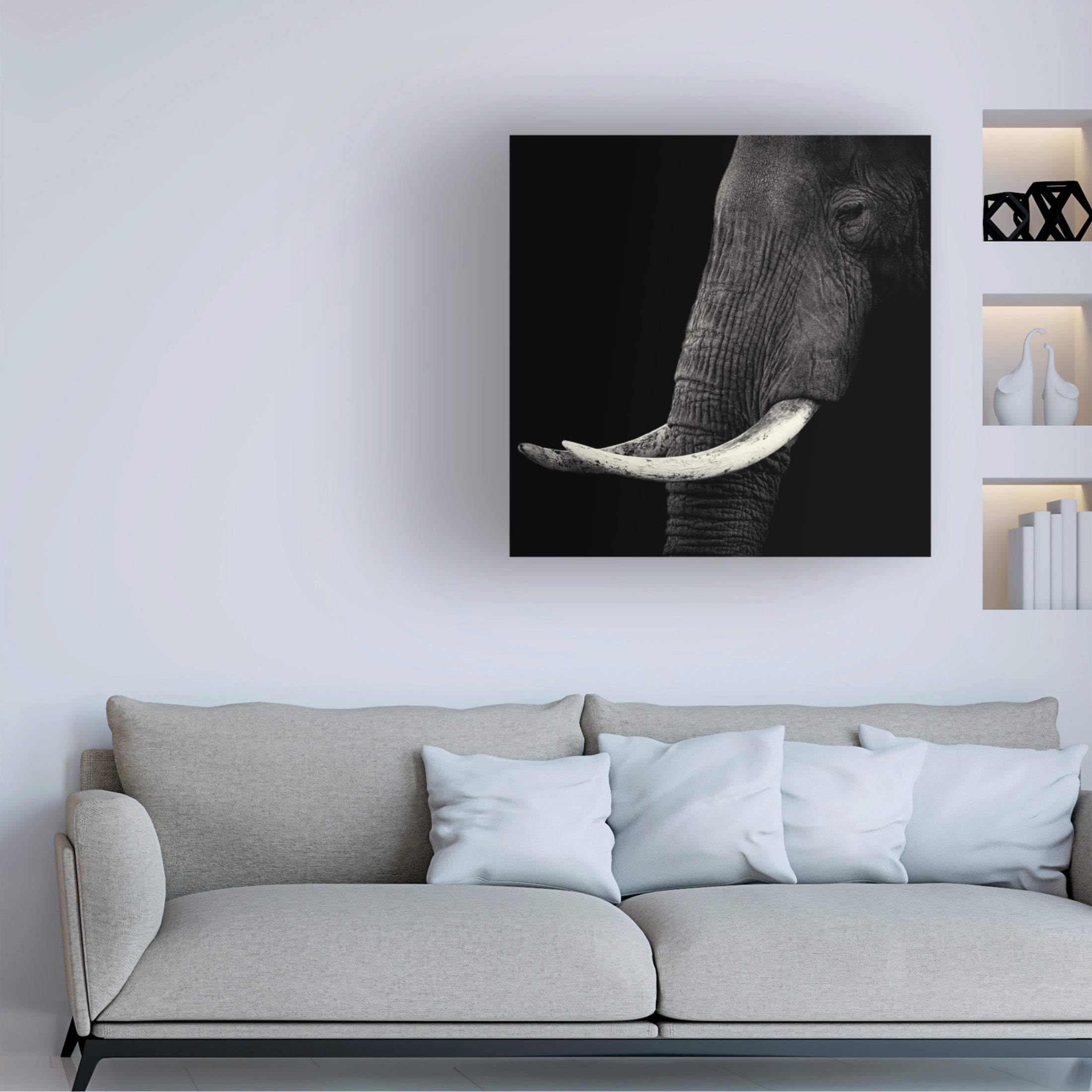 Canvas Wall Art - Hannes Bertsch 'Elephant Profile' Wall Art for Living Room, Bedroom, or Office D?cor by Trademark Fine Art - 24 x 24 Inches