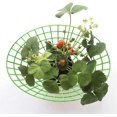 thumbnail image 4 of QNWJ Strawberry Plant Supports Cages Climbing Trellis Frame Holder 10pcs, 4 of 5