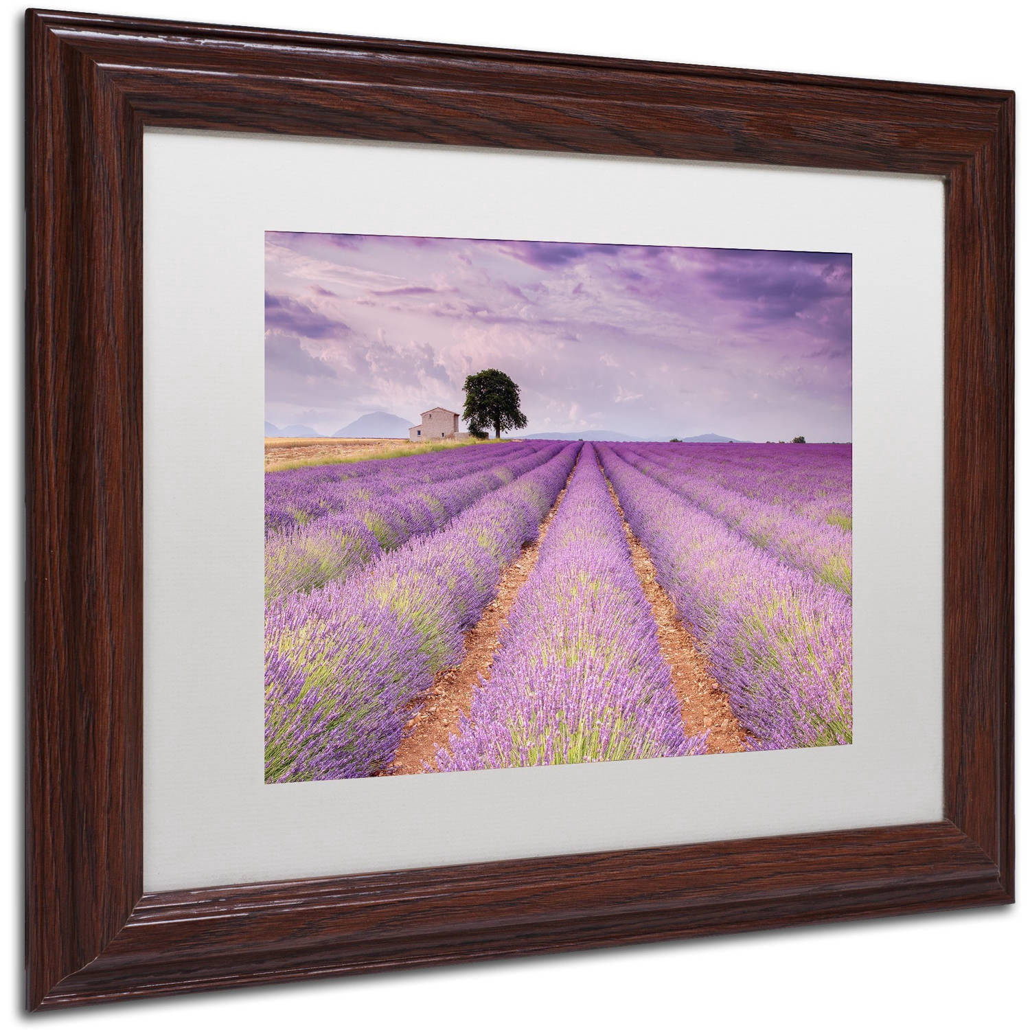 Trademark Fine Art 'Stone House' Canvas Art by Michael Blanchette Photography, White Matte, Wood Frame