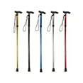 thumbnail image 3 of 4-Section Foldable Ultra-Light Adjustable Trekking Pole, Retractable Walking Stick with Anti-Slip Rubber Tip, for Hiking & Elderly Black, 3 of 5