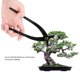 thumbnail image 5 of Herramientas para bonsái cortador de ramas de aleación de acero de Manganeso de grado profesional tijeras de jardinería ANGGREK Otros, 5 of 8